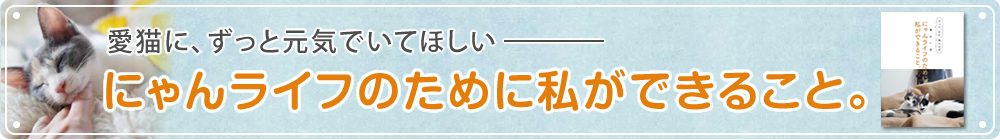 にゃんライフのために私ができること