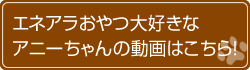 お薬も減って元気いっぱい!アニーちゃんの動画はこちら!
