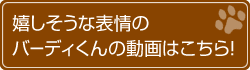 嬉しそうな表情のバーディくんの動画はこちら!