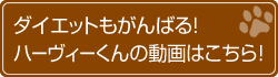 ダイエットもがんばる!ハーヴィーくんの動画はこちら!