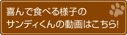 喜んで食べる様子のサンディくんの動画はこちら!