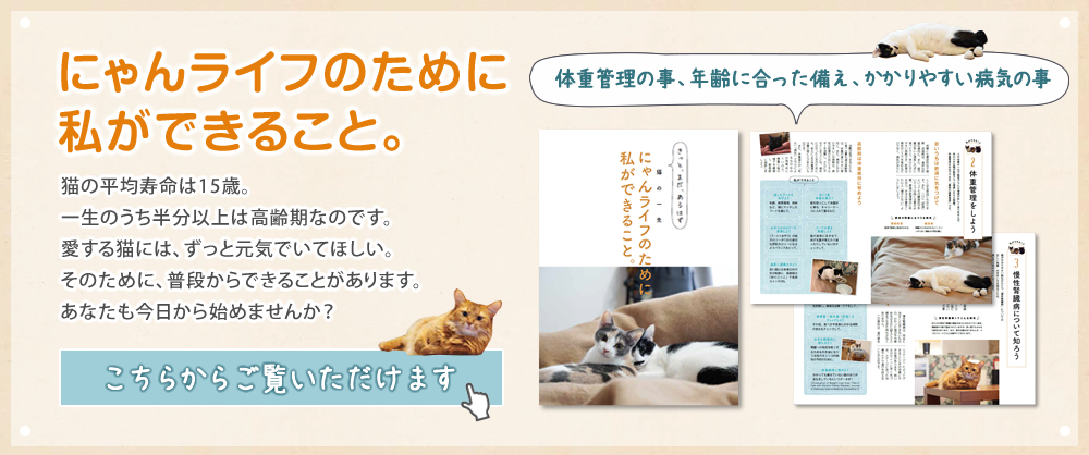 にゃんライフのために私ができること