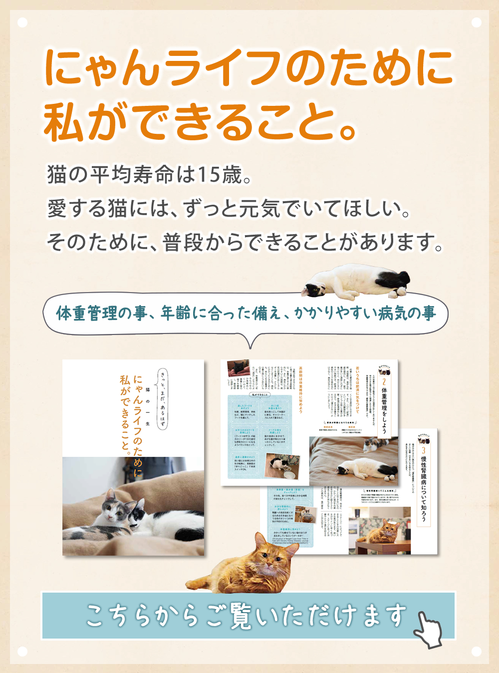 にゃんライフのために私ができること